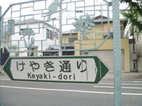 keyaki002-2.jpg