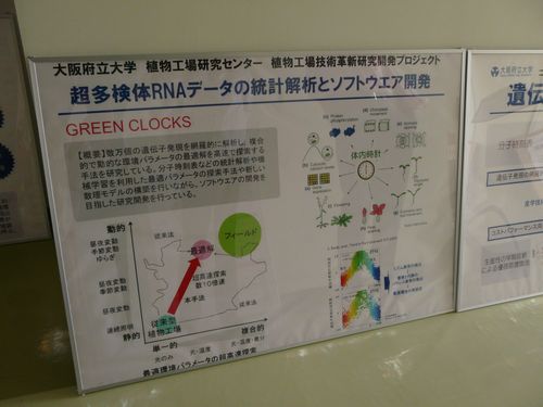04_fudai_greenclocks01.jpg